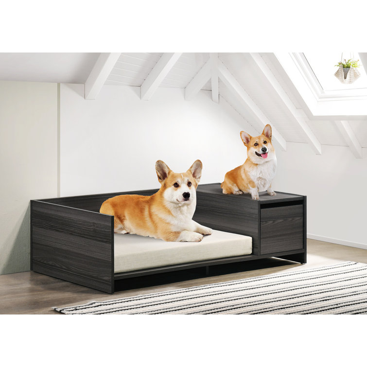 Tucker Murphy Pet™ Modern Comfy Pet Bed With Cushion Wayfair Canada